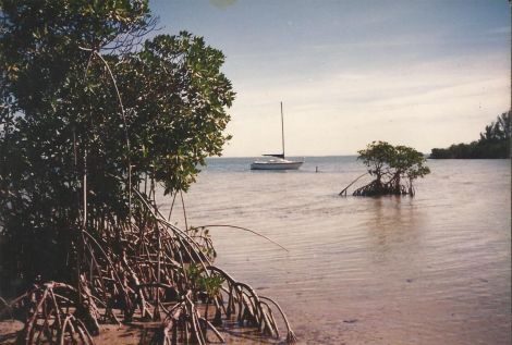 North American sloop Boats For Sale in Florida by owner | 1976 23 foot North American sloop